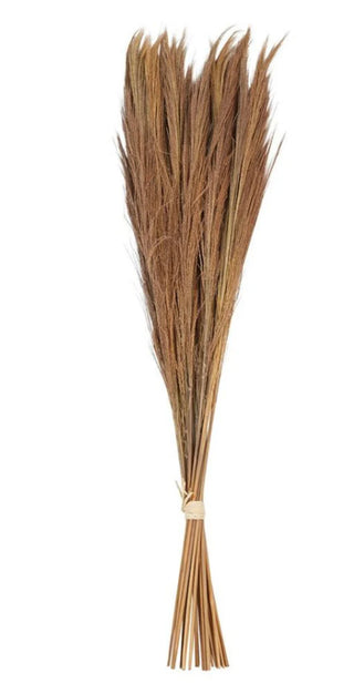 Broom Grass