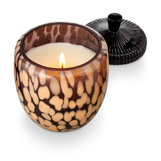 Midnight Pumpkin Acorn Shape Candle