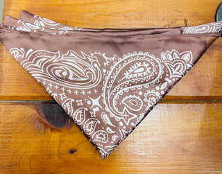Paisley Bandana Scarf // Kenzie Panne