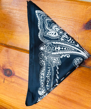 Paisley Bandana Scarf // Kenzie Panne