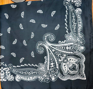 Paisley Bandana Scarf // Kenzie Panne