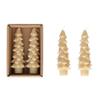 Short Tree Shaped Taper Candles in Box / Set of 2