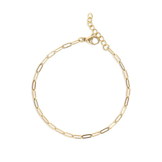18K Gold PVD Stainless Steel Paperclip Chain Bracelet w/ 1” Extender