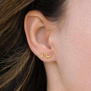 Teeny Tiny Bone Appetit Studs - Gold