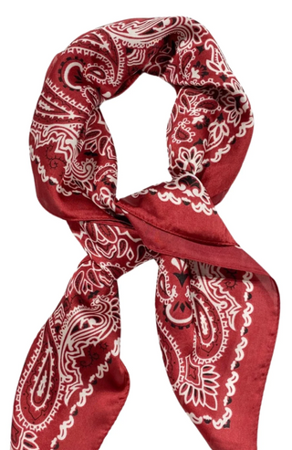 Wild Rag Scarf