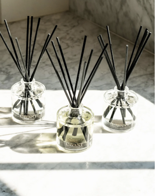 Reed Oil Refill - Winter Fir // L'AVANT