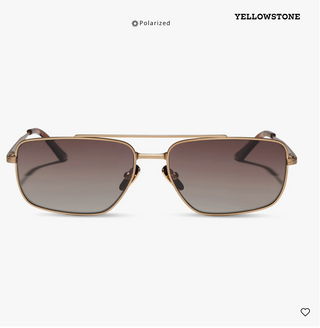 The Ranch Sunglasses-Brushed Gold//DIFF