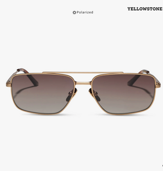 Pioneer Sunglasses- Brushed Gold Brown Gradient//DIFF
