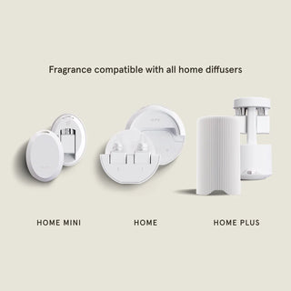Del Mar Guy Fox Home Diffuser - Pura