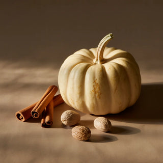 White Pumpkin Home Diffuser - Pura