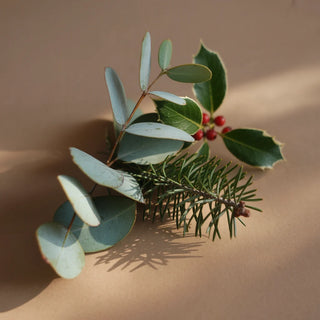 Winter Mantel Home Diffuser Oil - Pura