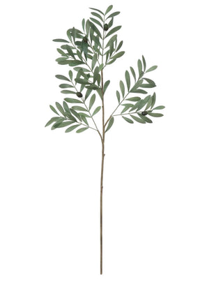 Faux Olive Branch - 36 inch